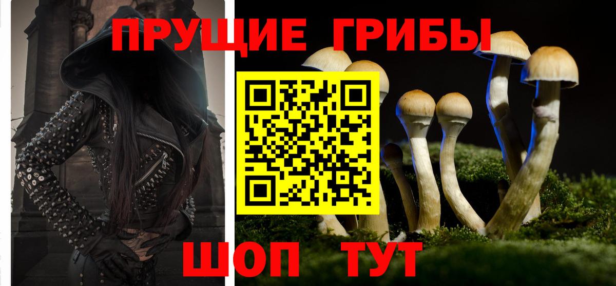 Галлюциногенные грибы Psilocybine cubensis  Вход с VPN  Великие Луки 