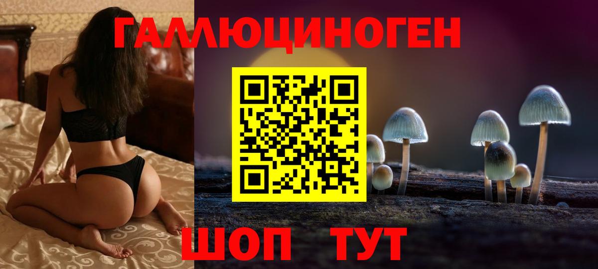 Псилоцибиновые грибы мухоморы Великие Луки